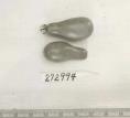 Click for 1 image(s) for this accession. FRUIT